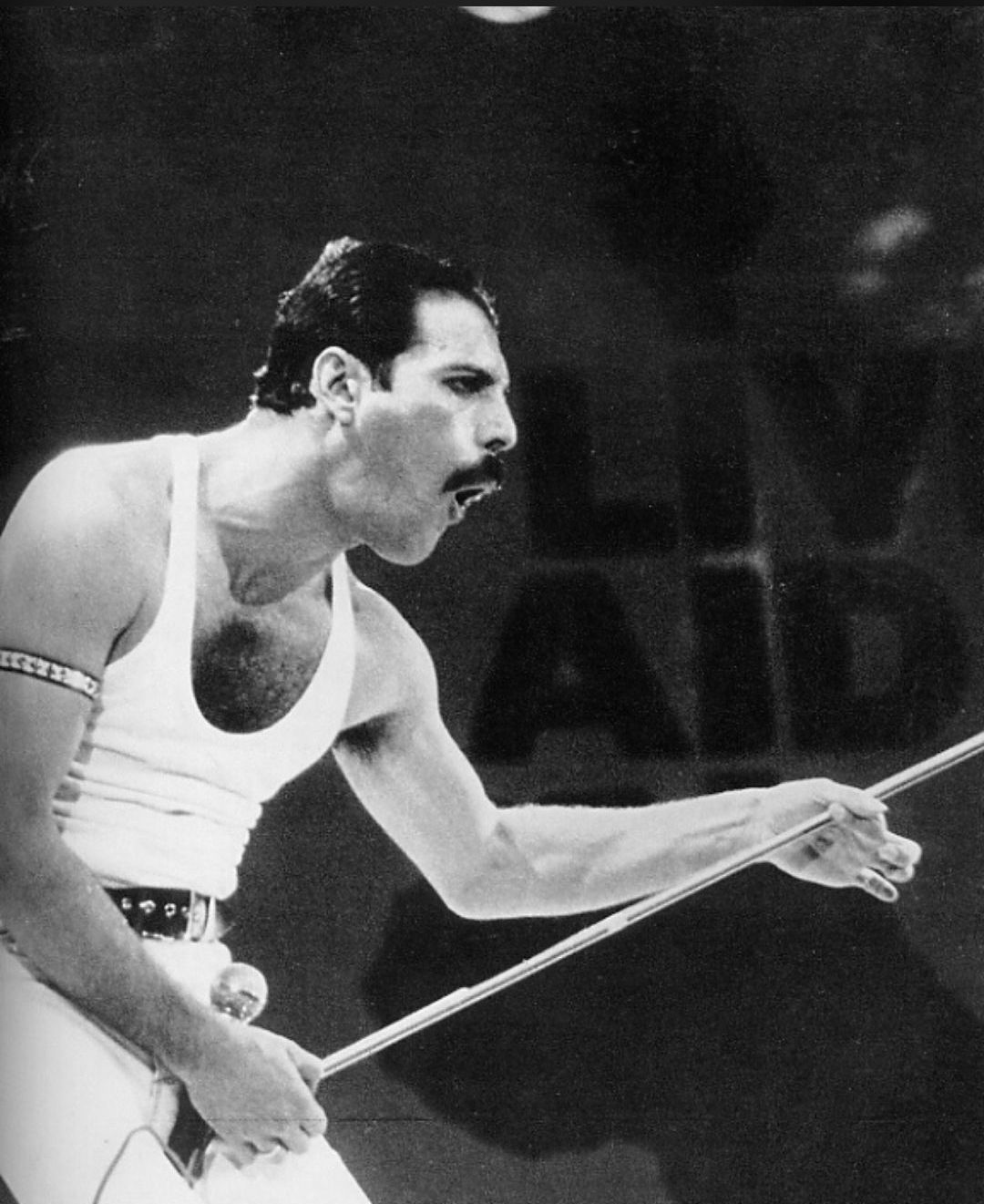 Сегодня Фредди Меркьюри исполнилось бы 75